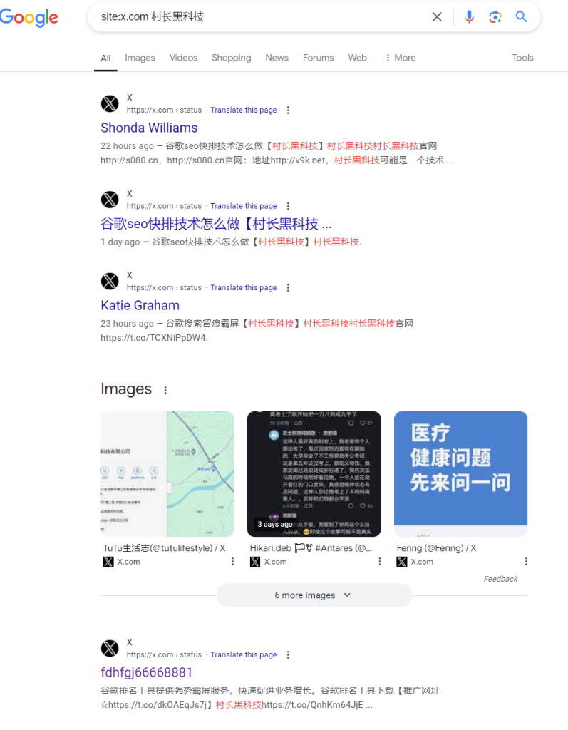 图片[4]_Twitter（X）推特发帖软件工具，推特发帖协议软件Twitter（X）推特发帖软件_引流协议引流软件【村长黑科技官网】