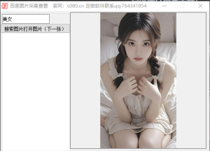 百度图片采集工具，一键采集图片_引流协议引流软件【村长黑科技官网】